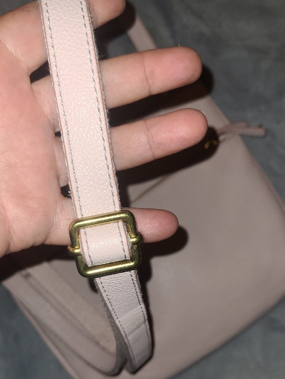 Fossil Light Pink Leather Crossbody with Gold Hardware - Picture 9 of 9